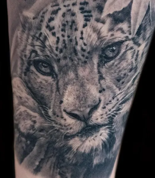 Animal