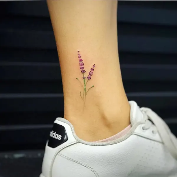 풀, 덩굴, 허브, 대나무, 야생화, 나뭇가지, Nature, 카네이션, 올리브 가지