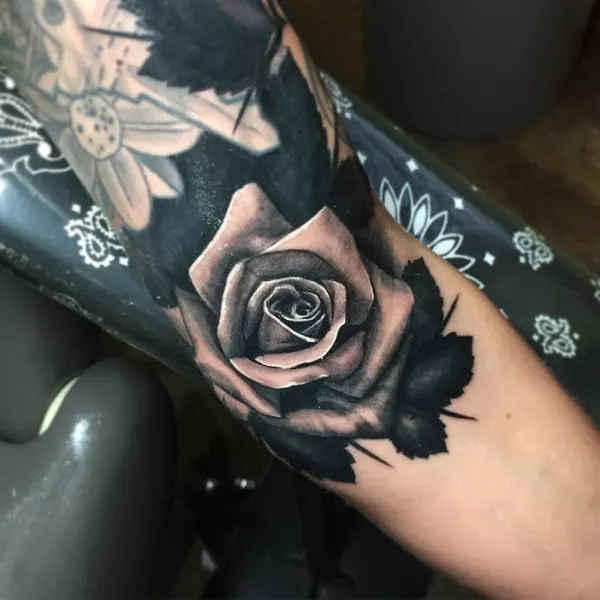 Flower, Rose