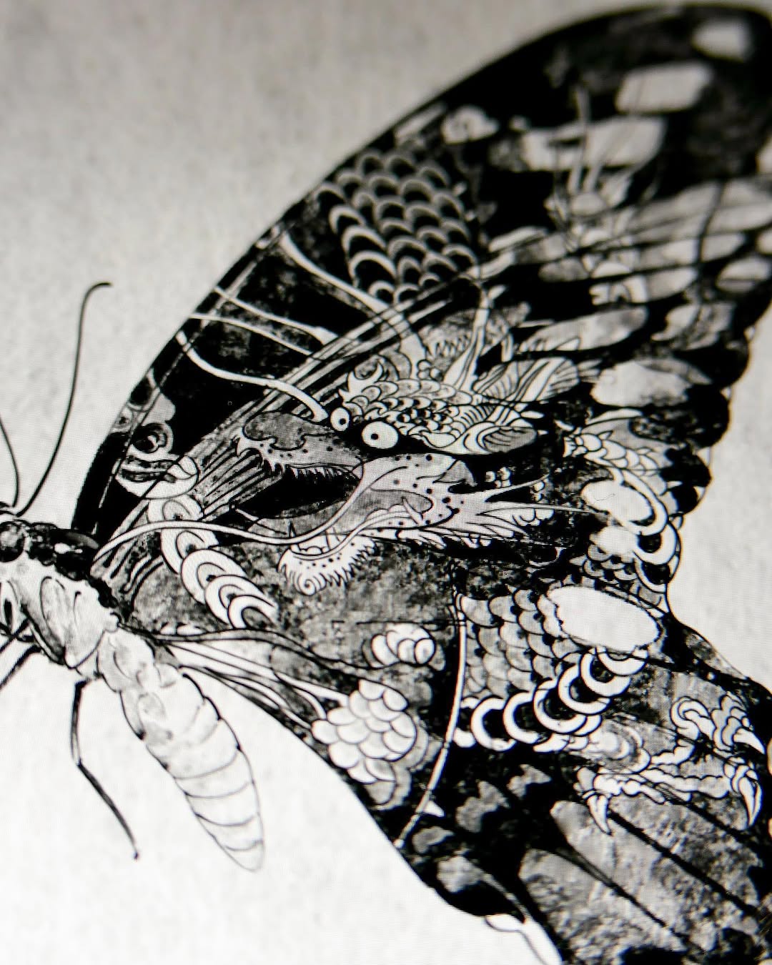 Animal, Nature