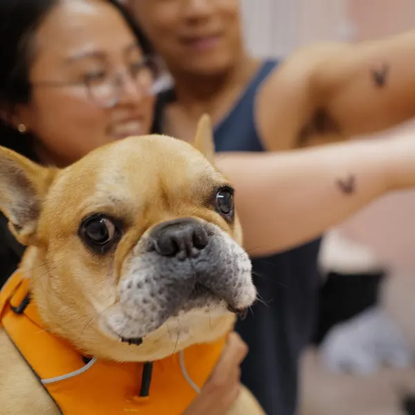 paw.tattoo