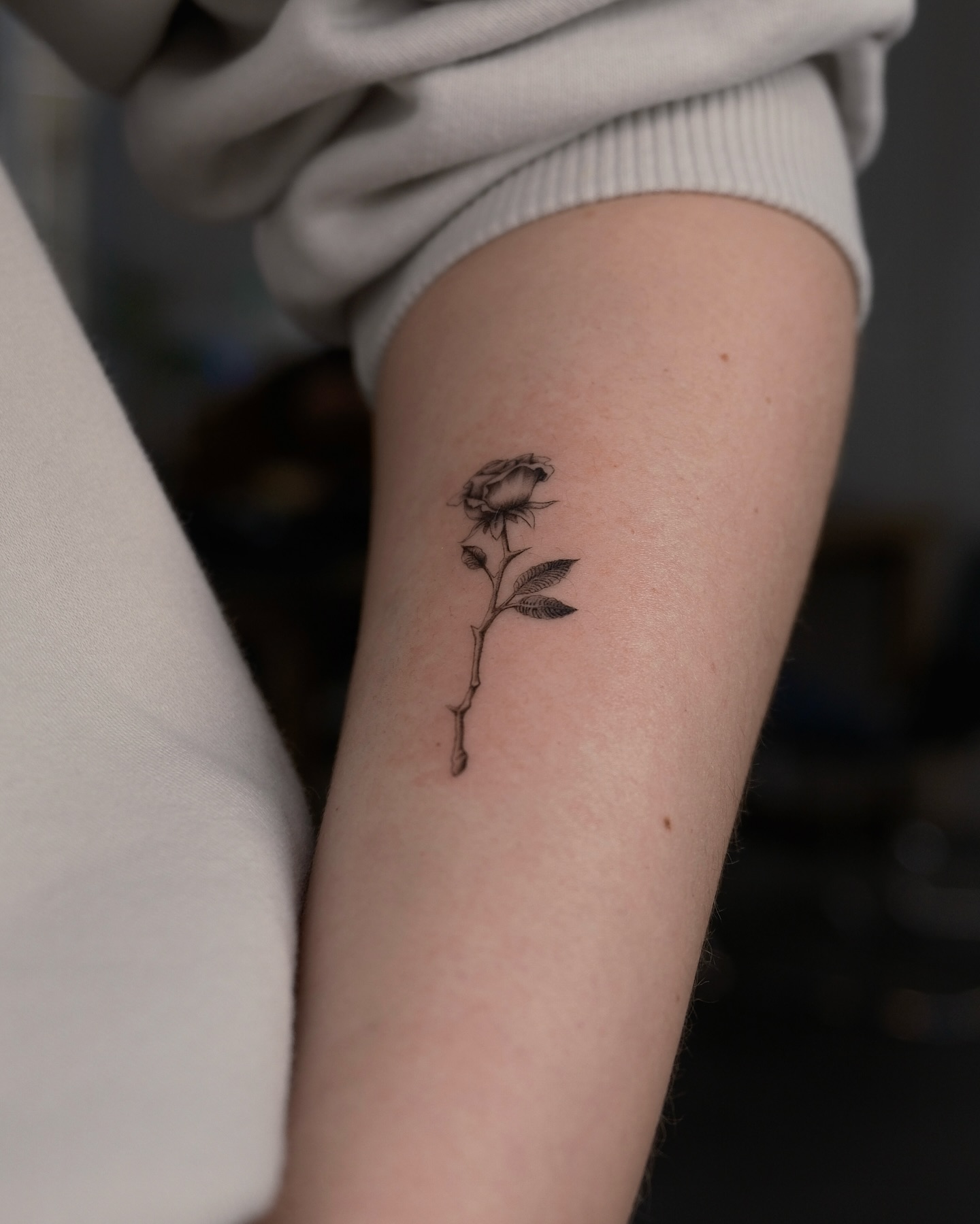 hill.inkk