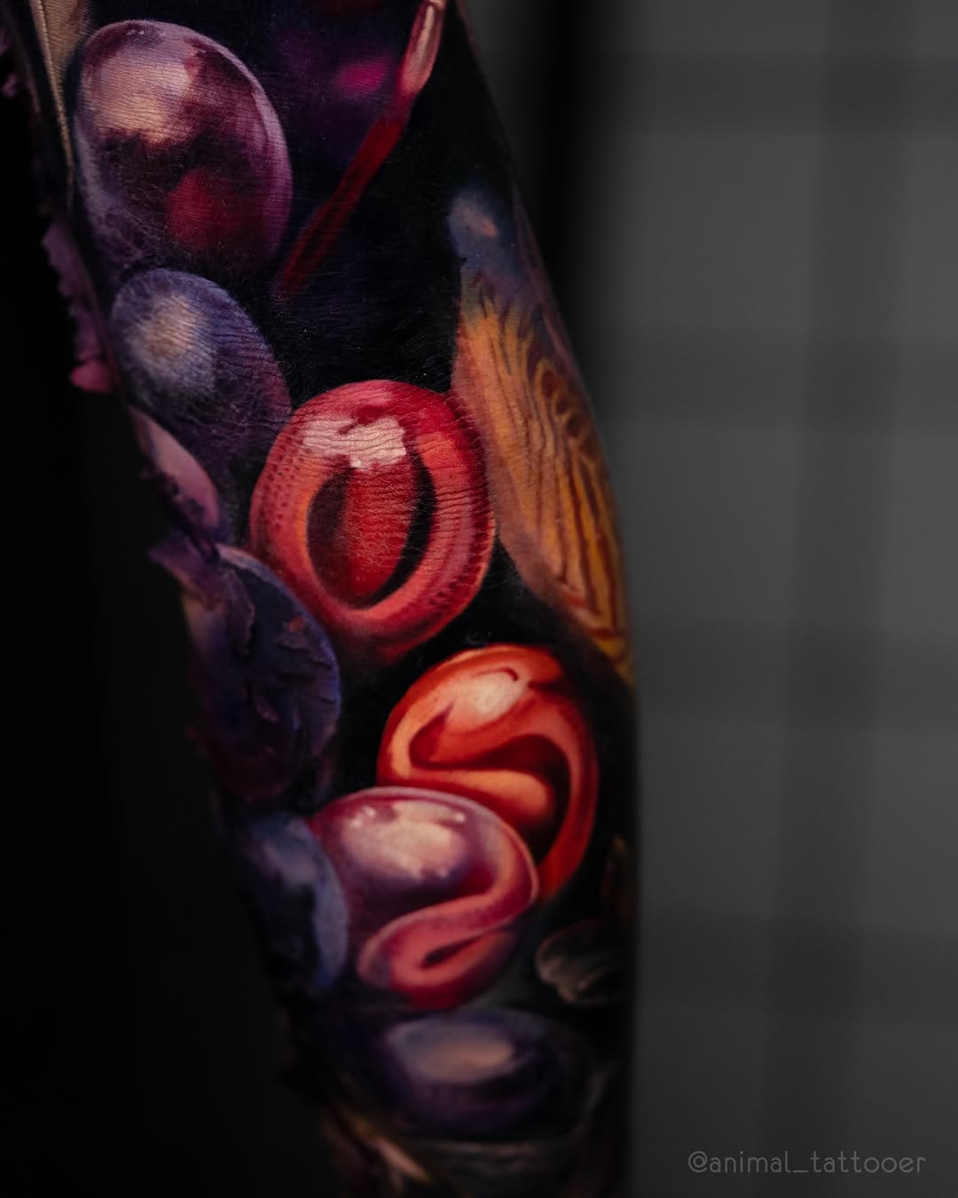 animal_tattooer