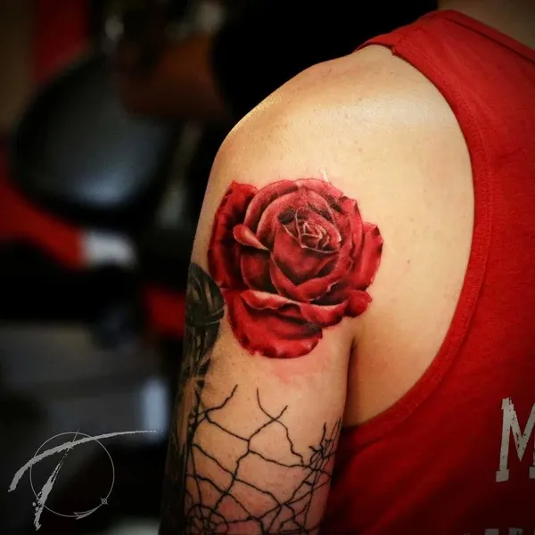 Flower, Rose