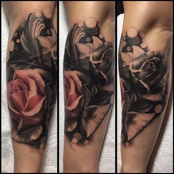 Rose, Flower