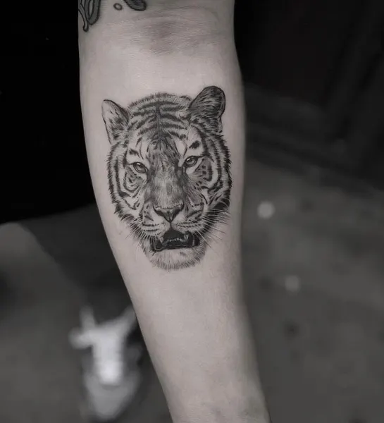 Tiger
