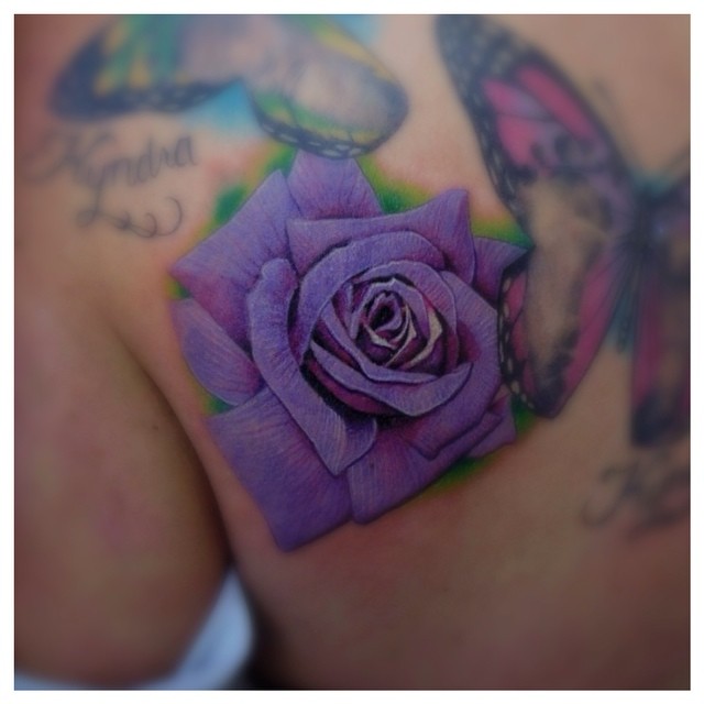 Flower, Rose, Nature, Animal