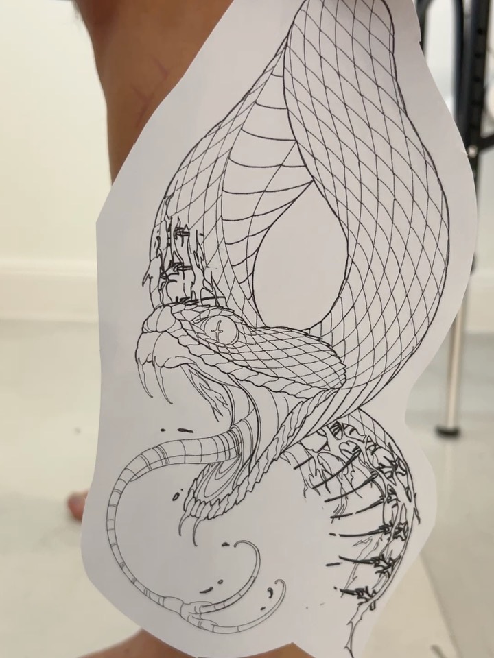 Dragon