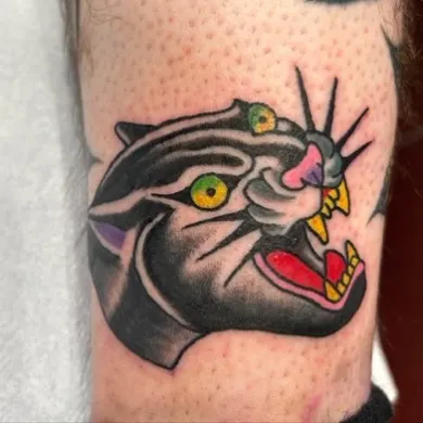 Tiger, Animal