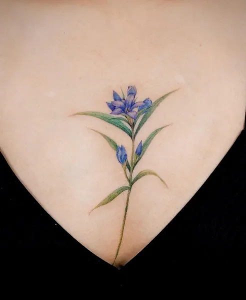 Flower