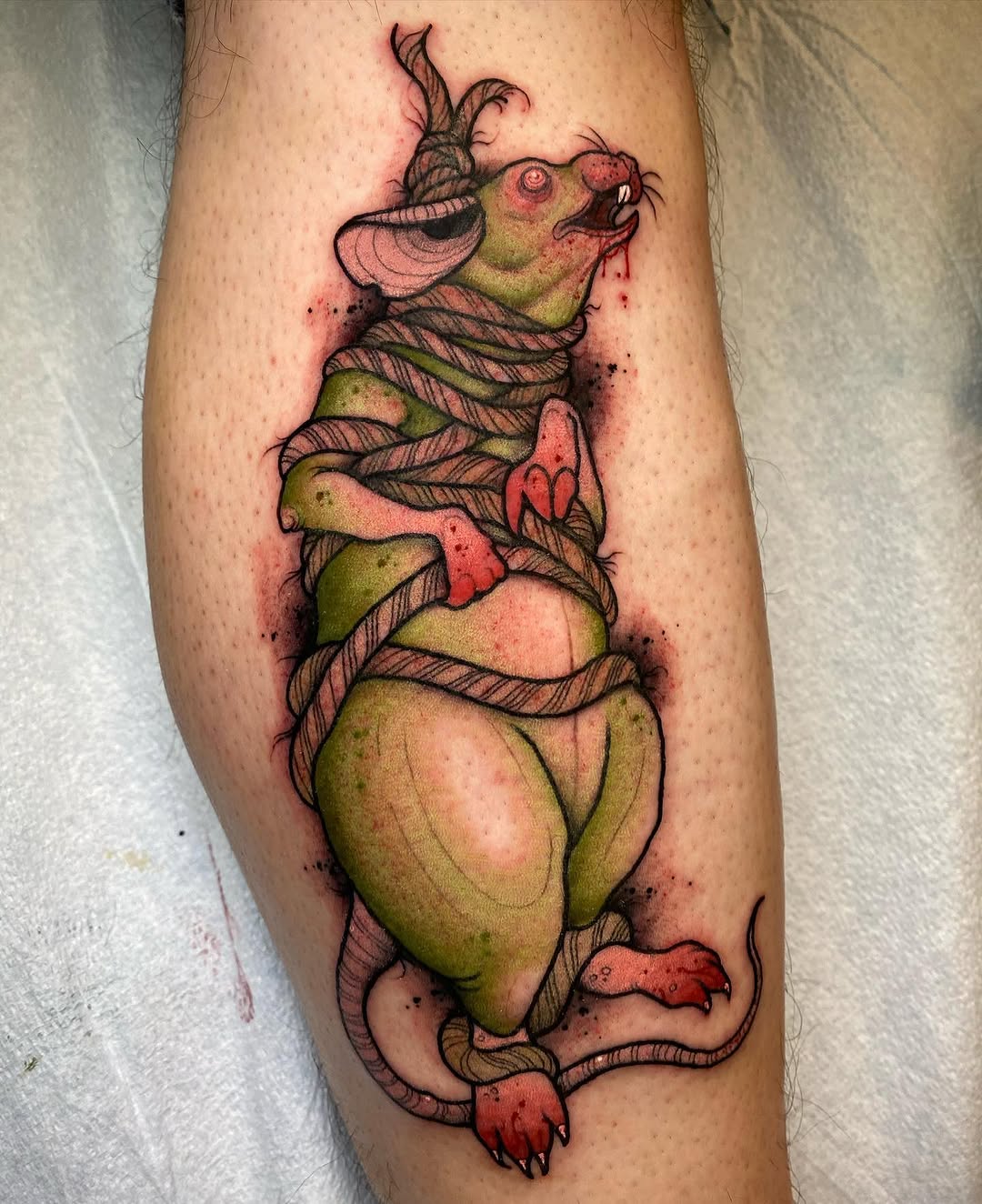 Dragon
