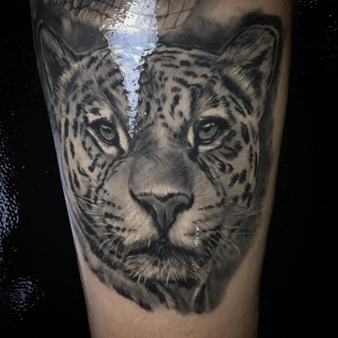 Animal
