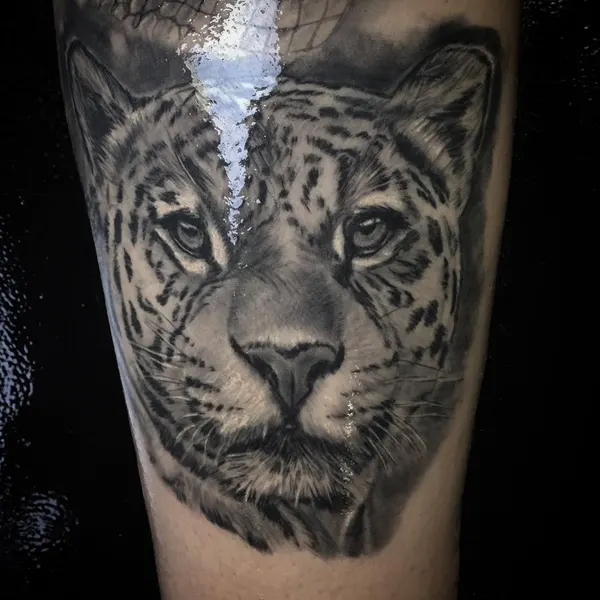 Animal