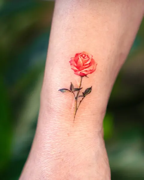 Flower, Rose