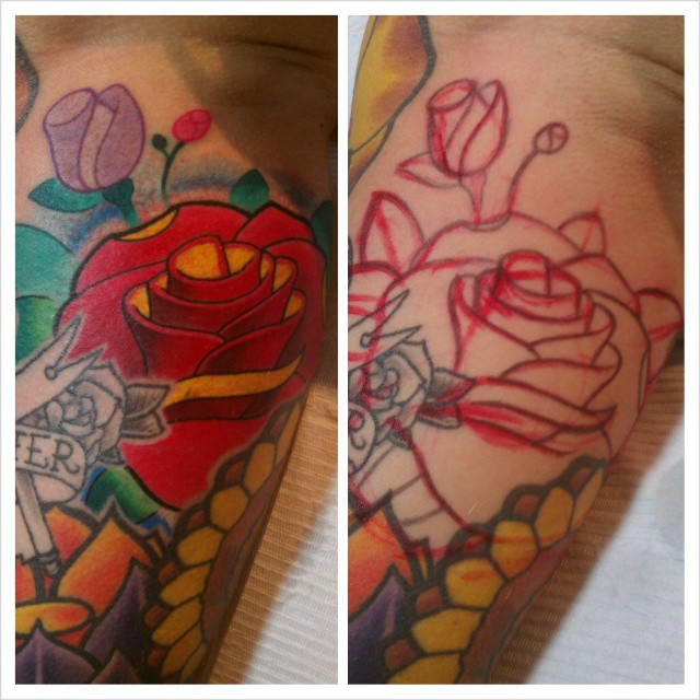 Flower, Rose