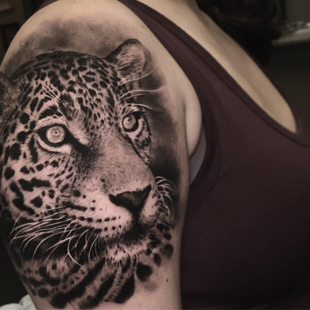 Animal