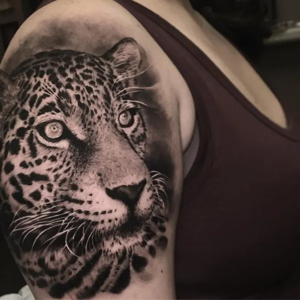 Animal