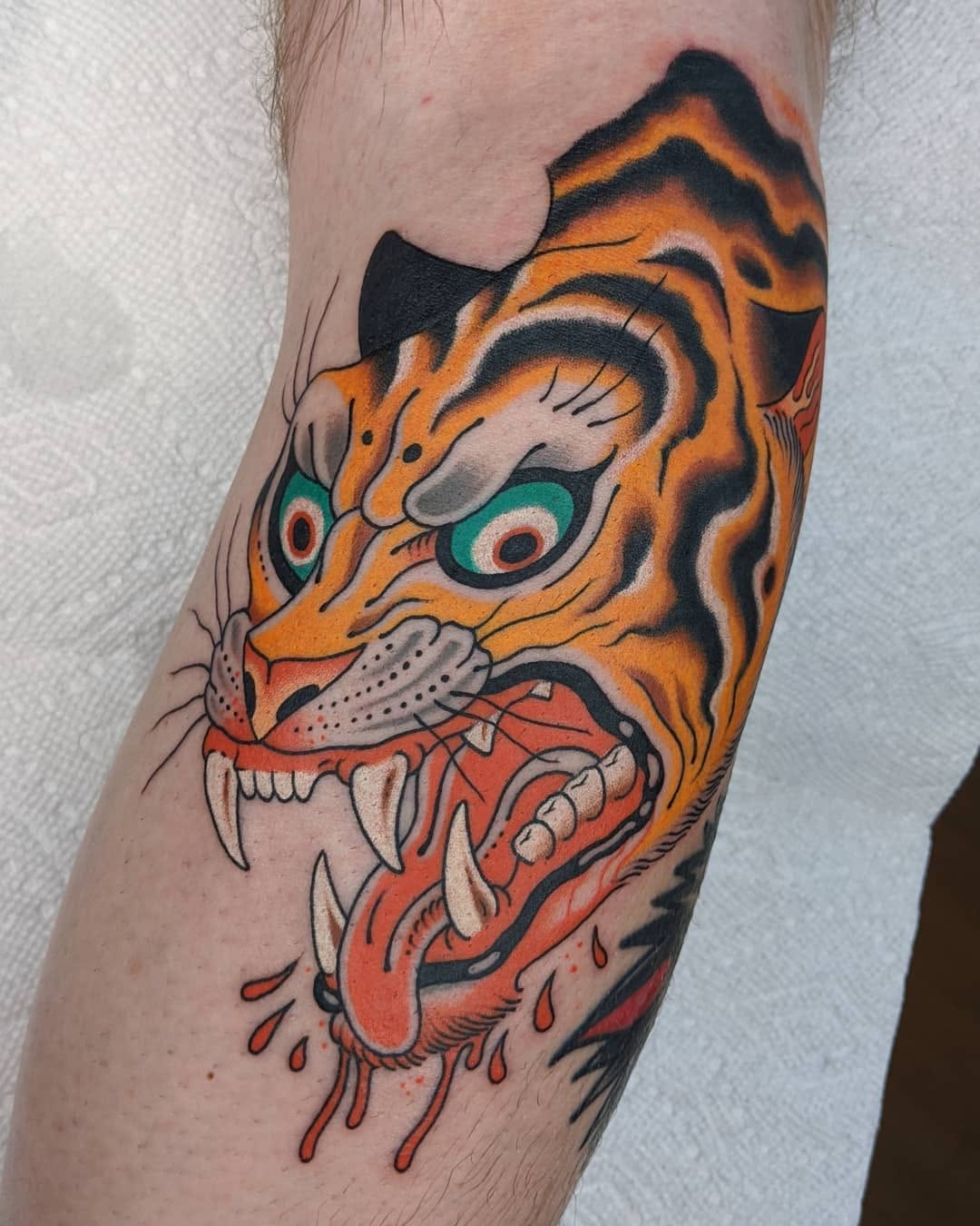 Tiger