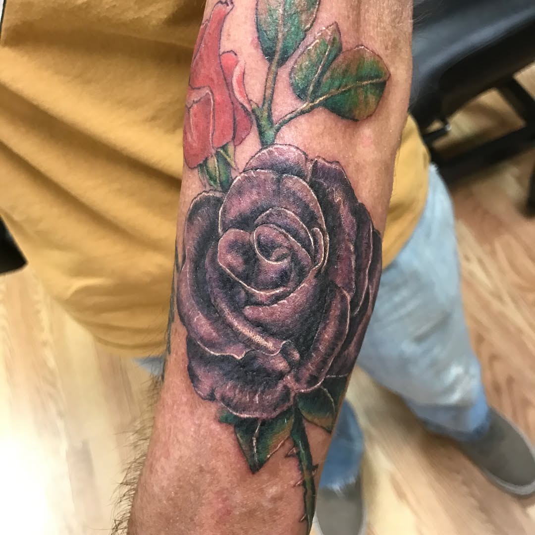 Flower, Rose