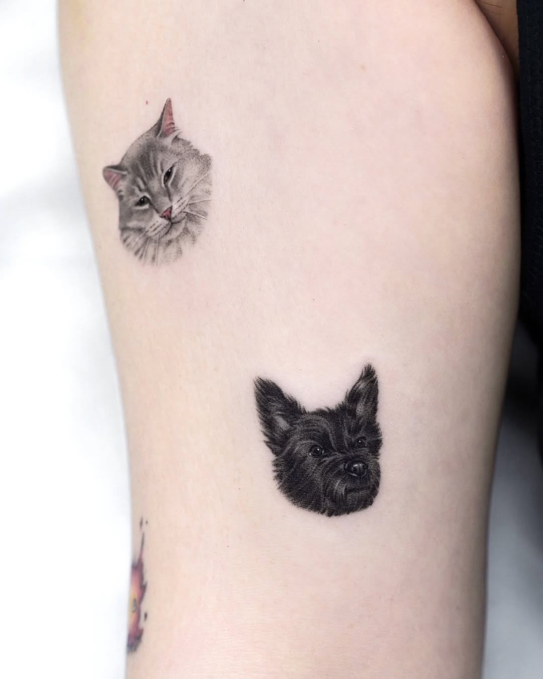 dorok.tattoo
