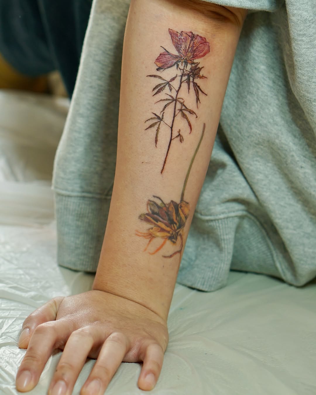 Flower, Rose