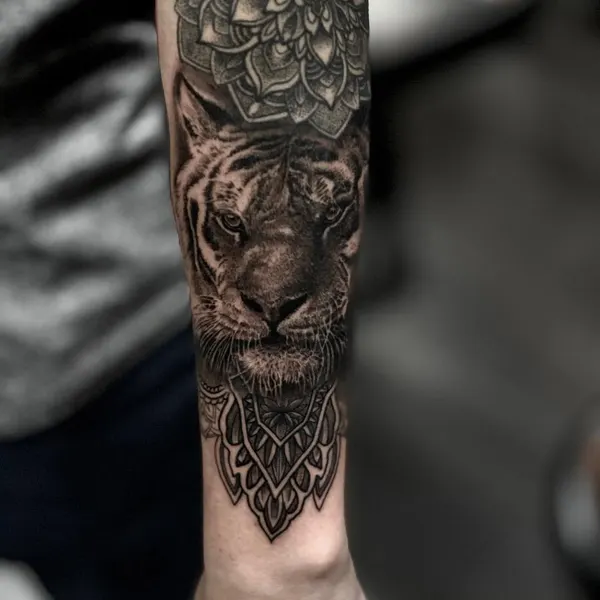 Tiger