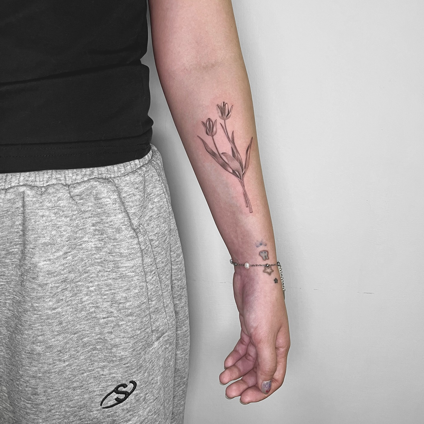 Flower, 튤립, Rose