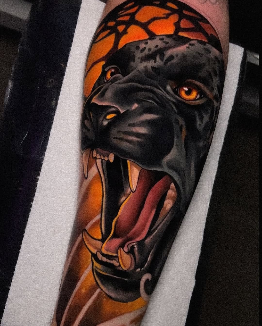 Animal, 여우
