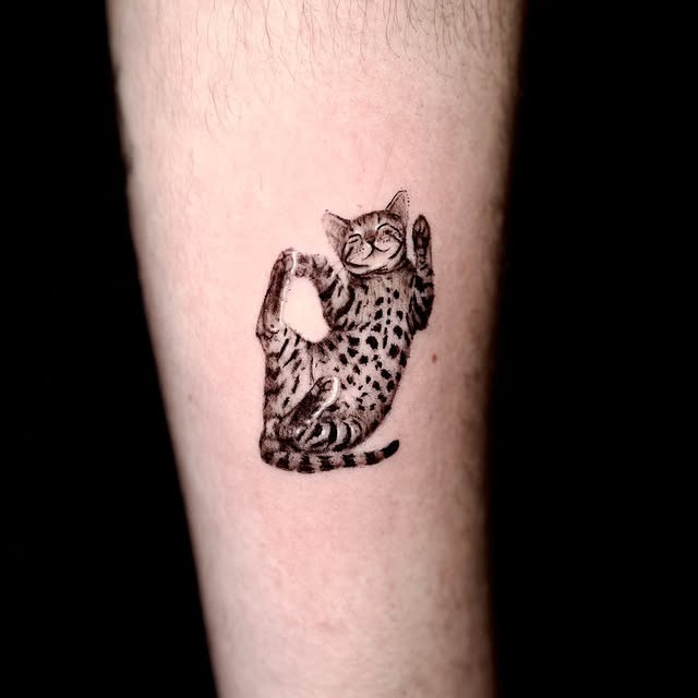 Animal, Tiger, 표범