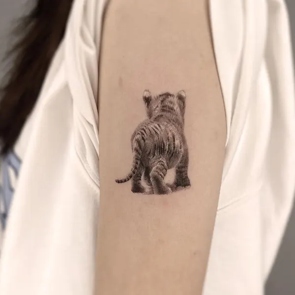 Tiger, 곰, 너구리, 멧돼지, 코알라, 나무늘보, 판다