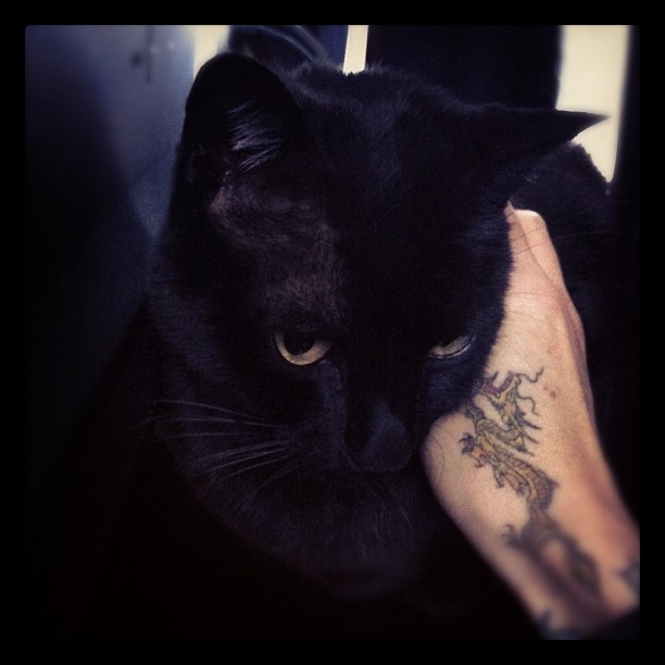 maryjoytattoo