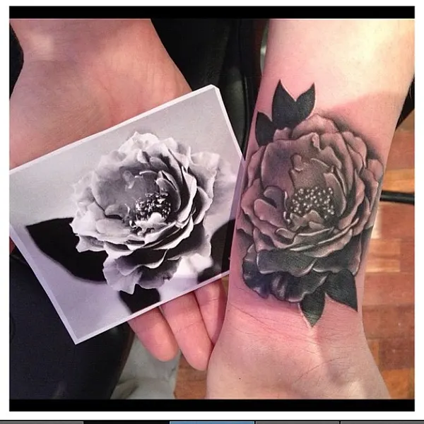 Flower, Rose