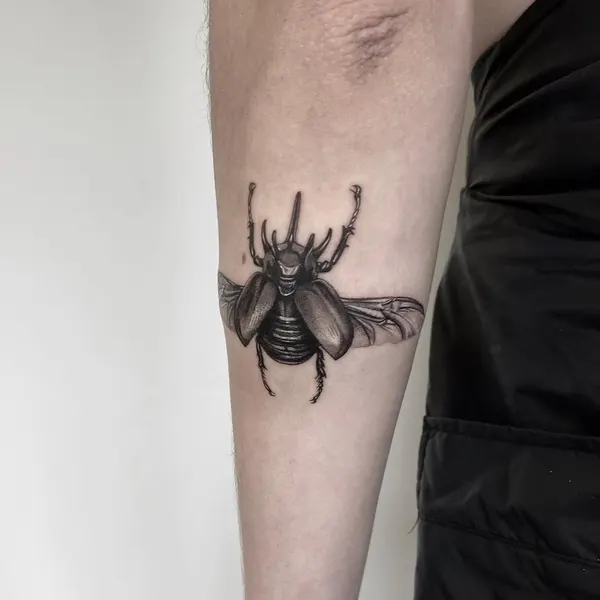Animal