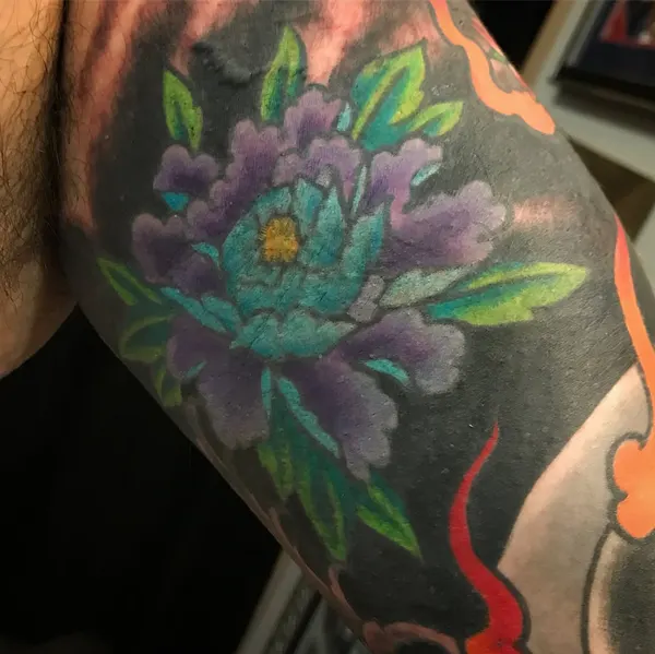 Flower, Rose