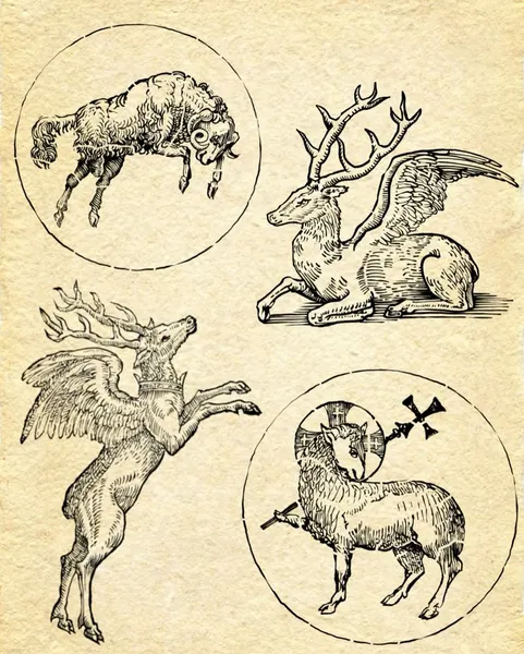 yoshi_tattooer