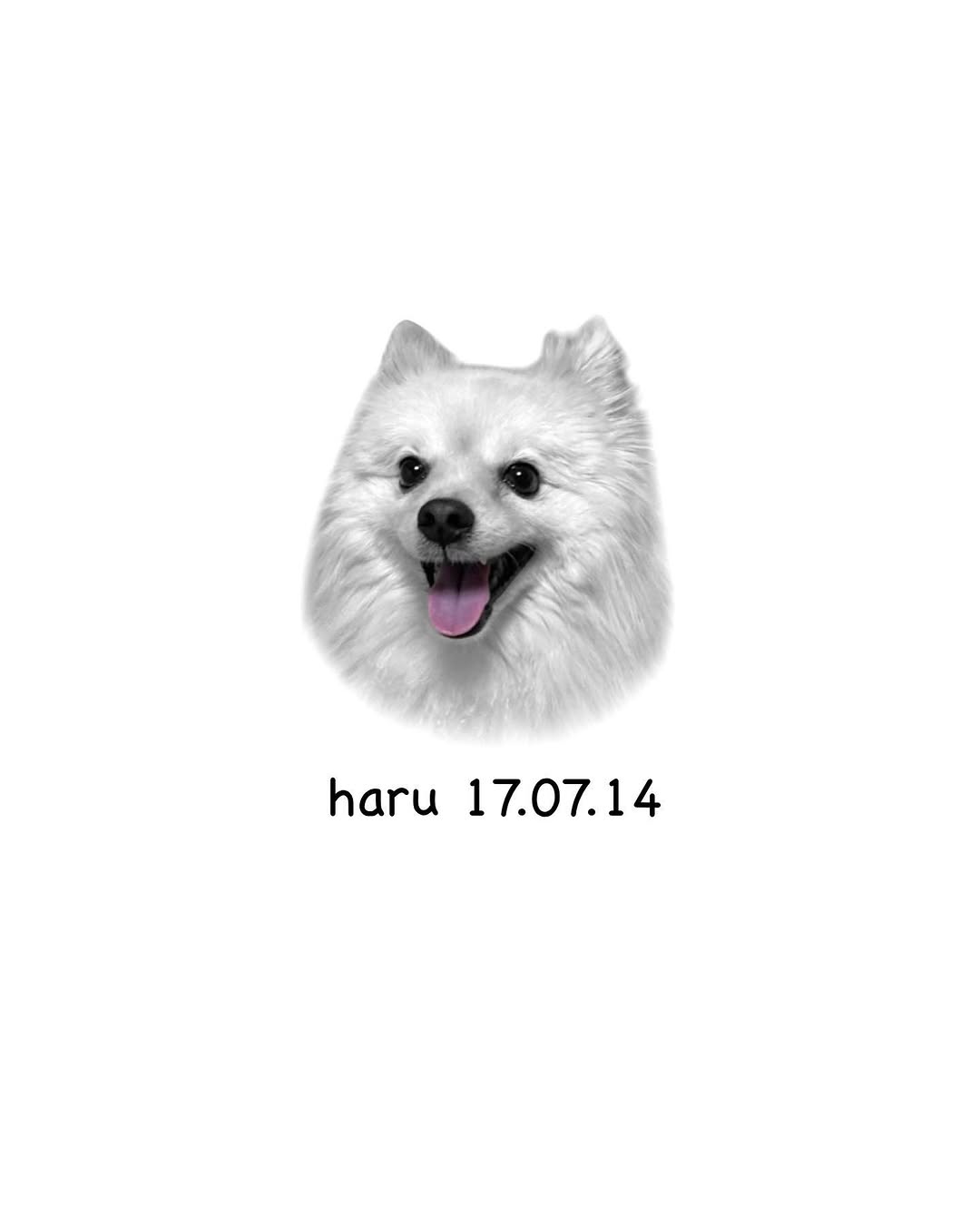 dorok.tattoo