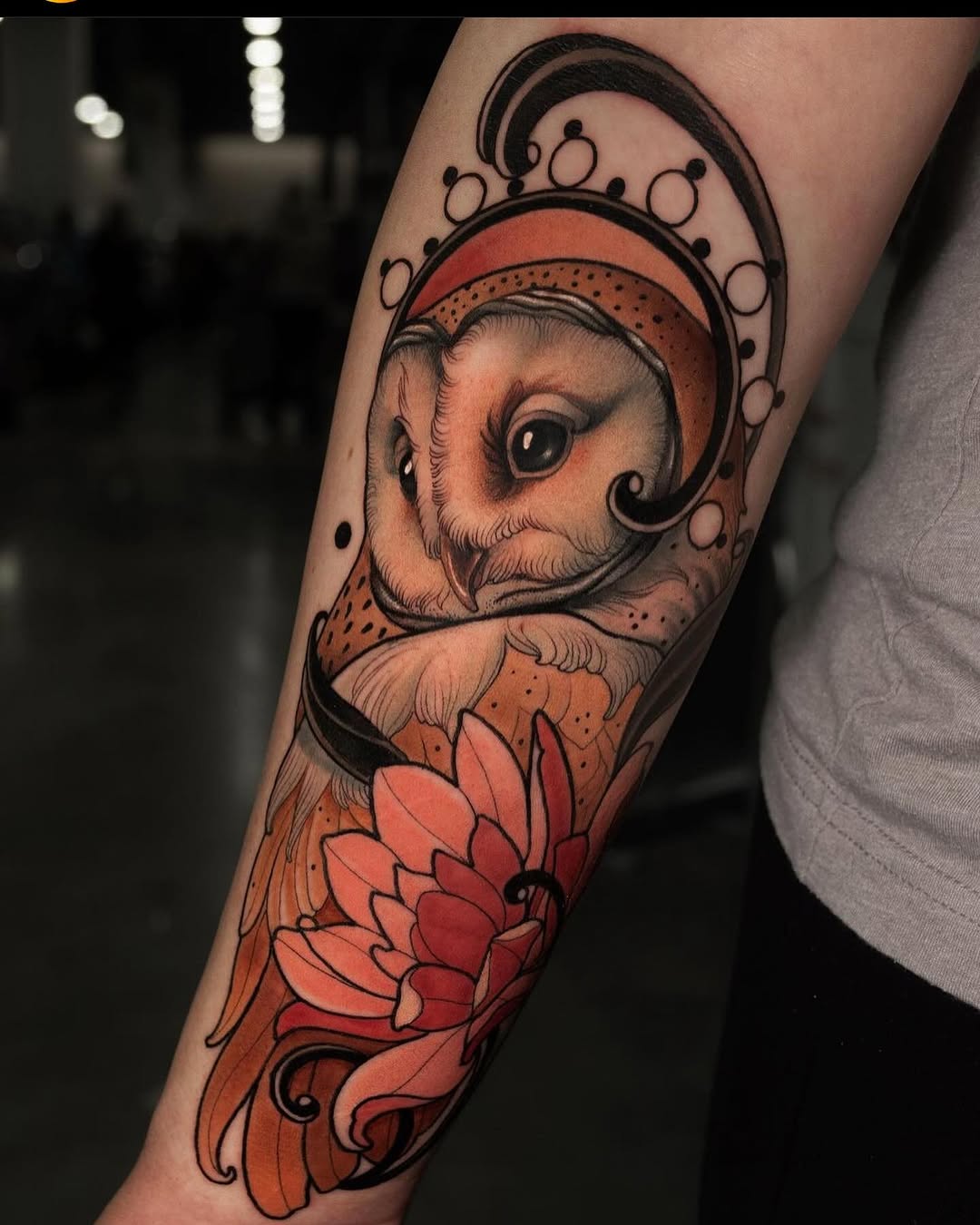 Animal, 표범, 재규어