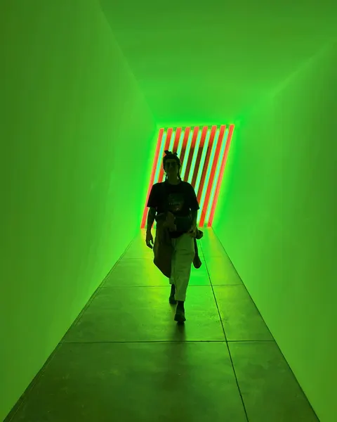 davidnoellert