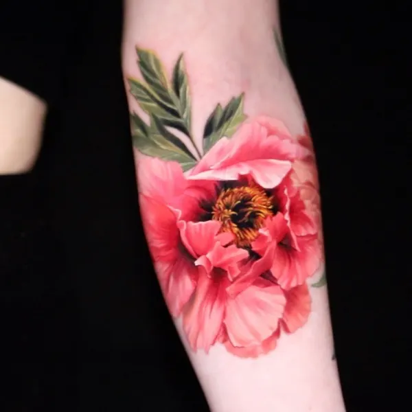 Flower, Rose