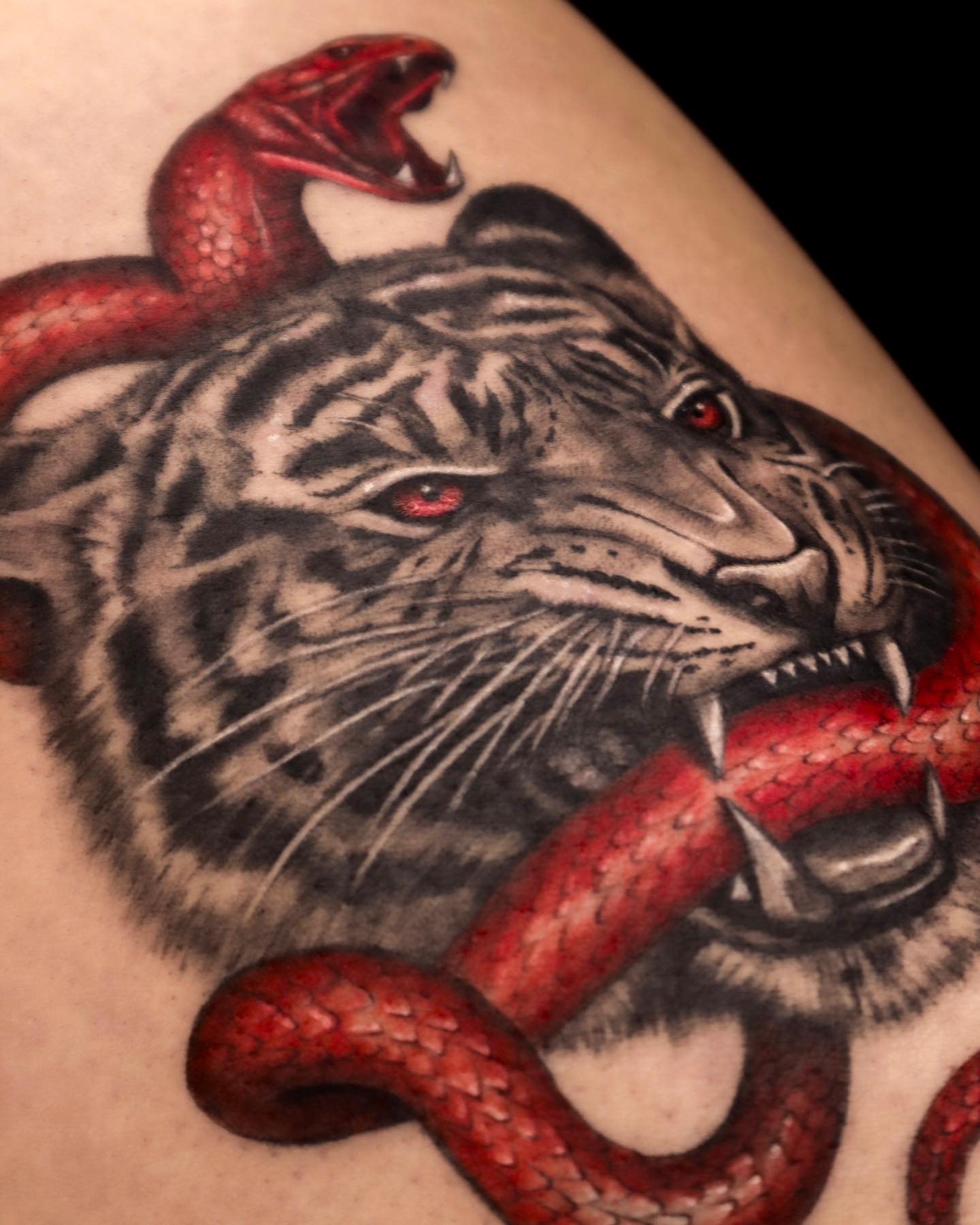 Tiger
