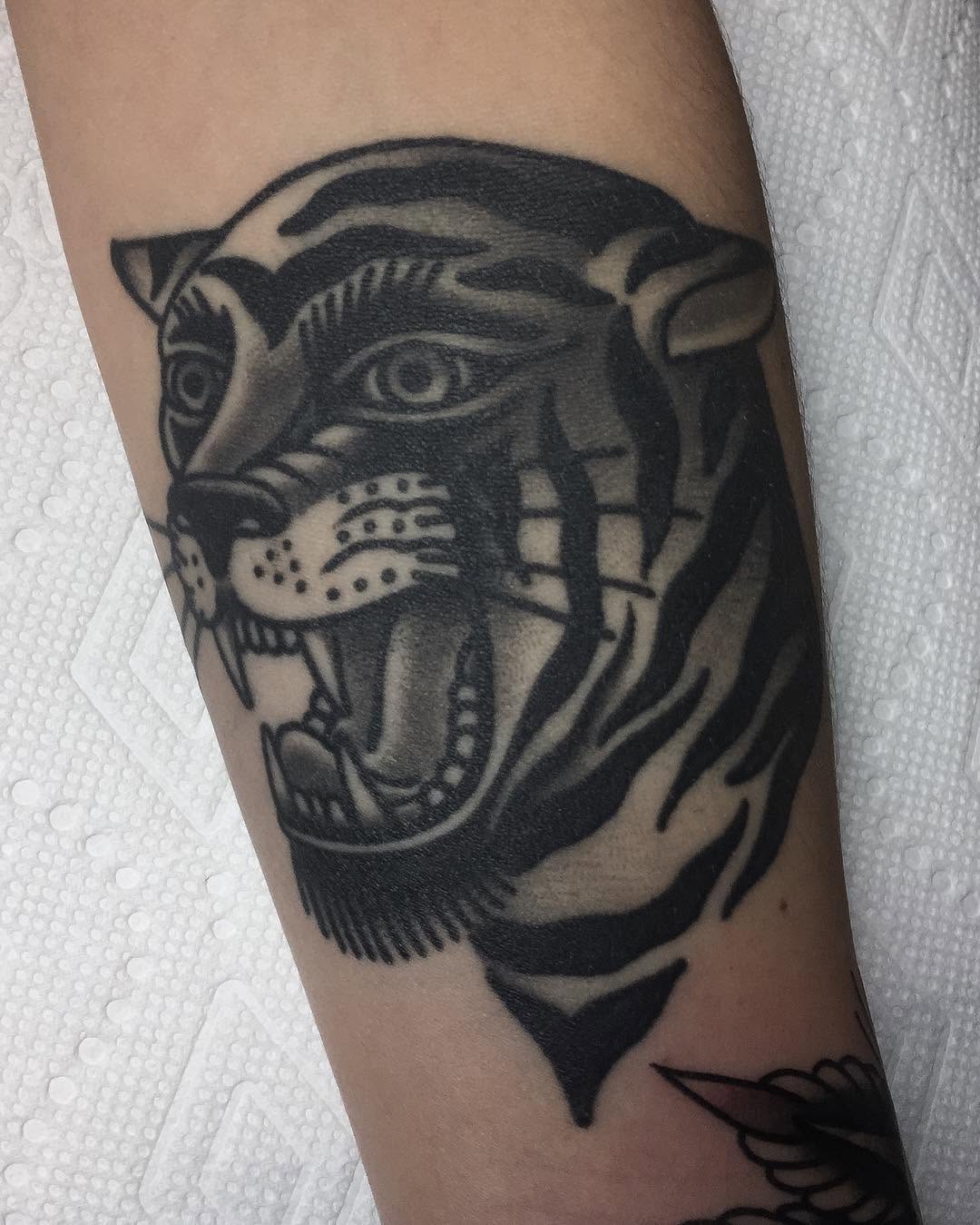 Tiger, Animal