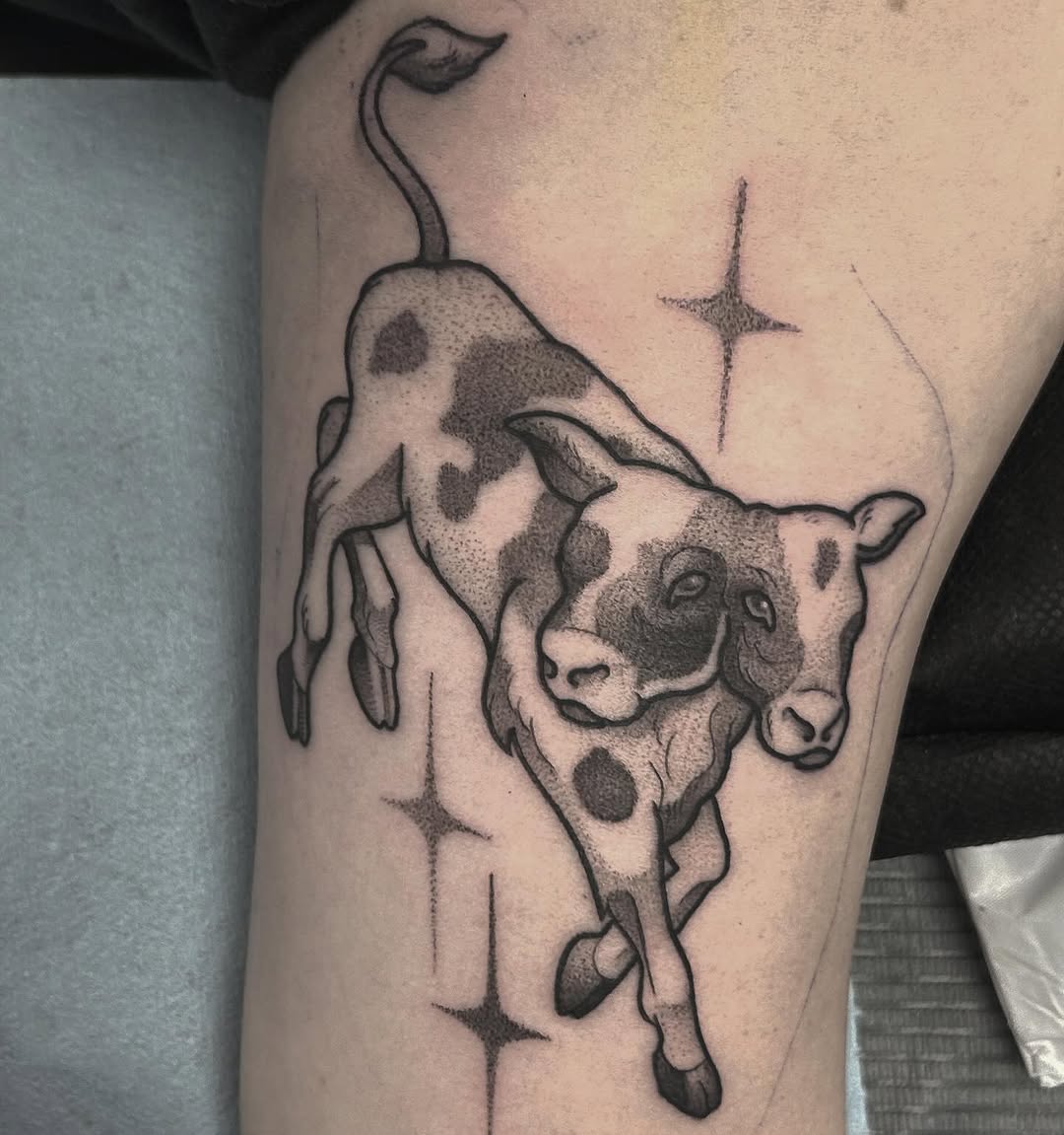 sarastigmata