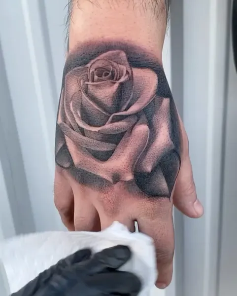 Flower, Rose