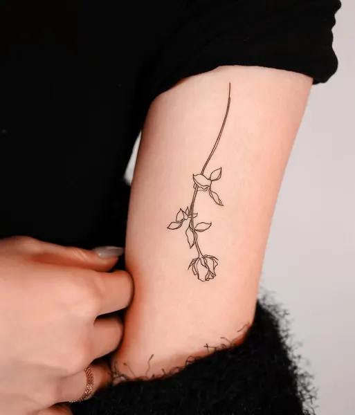 Flower, Rose