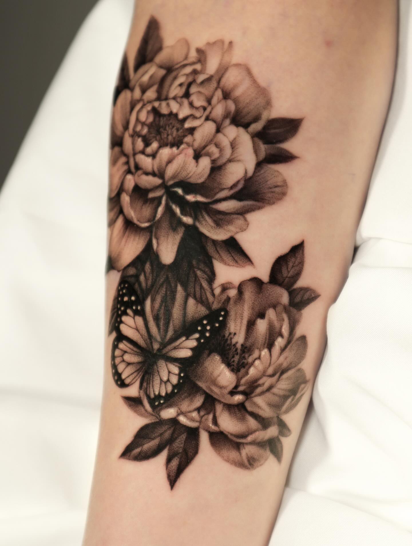 Flower, Rose, Nature, Animal