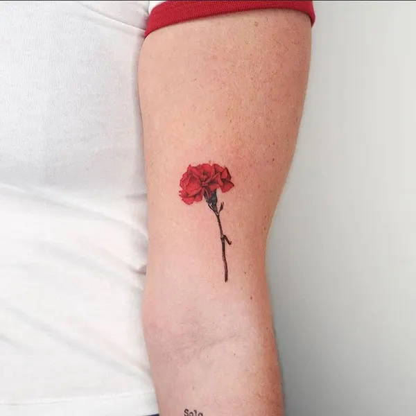 Flower, Rose, 양귀비