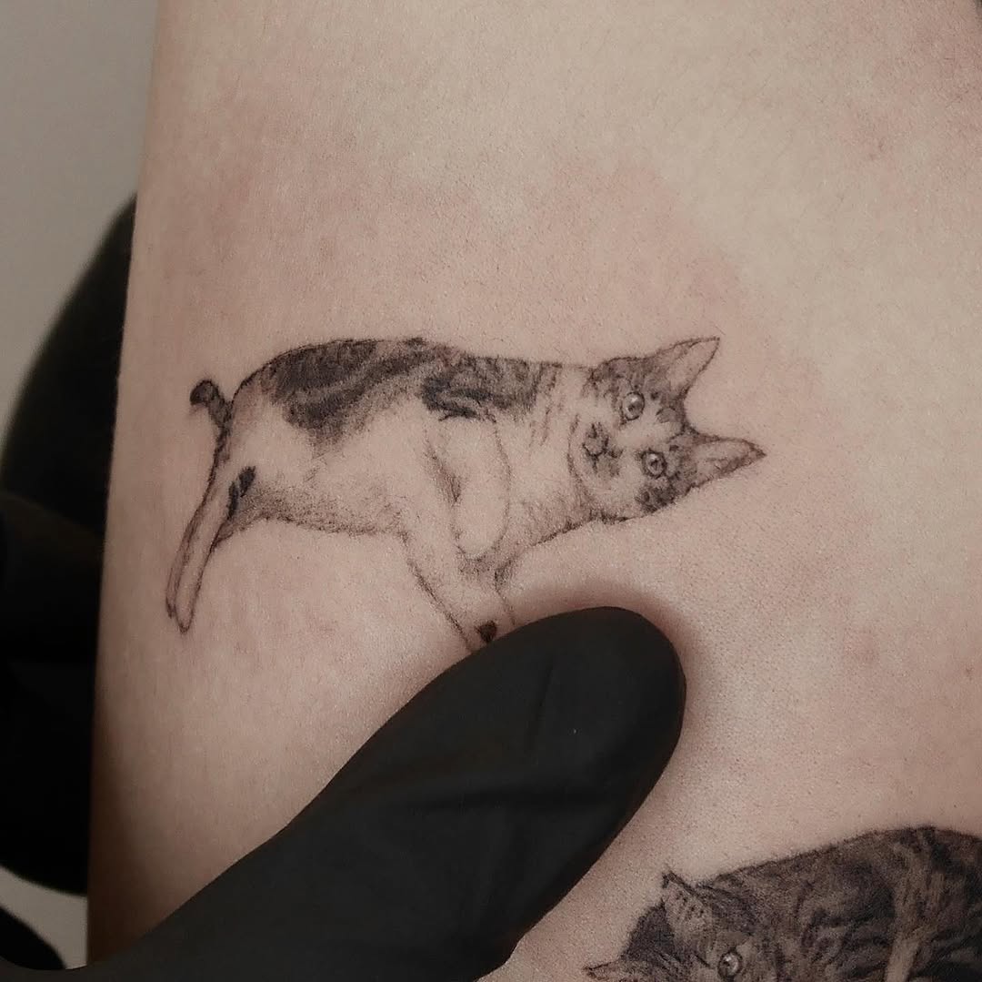40.tatt