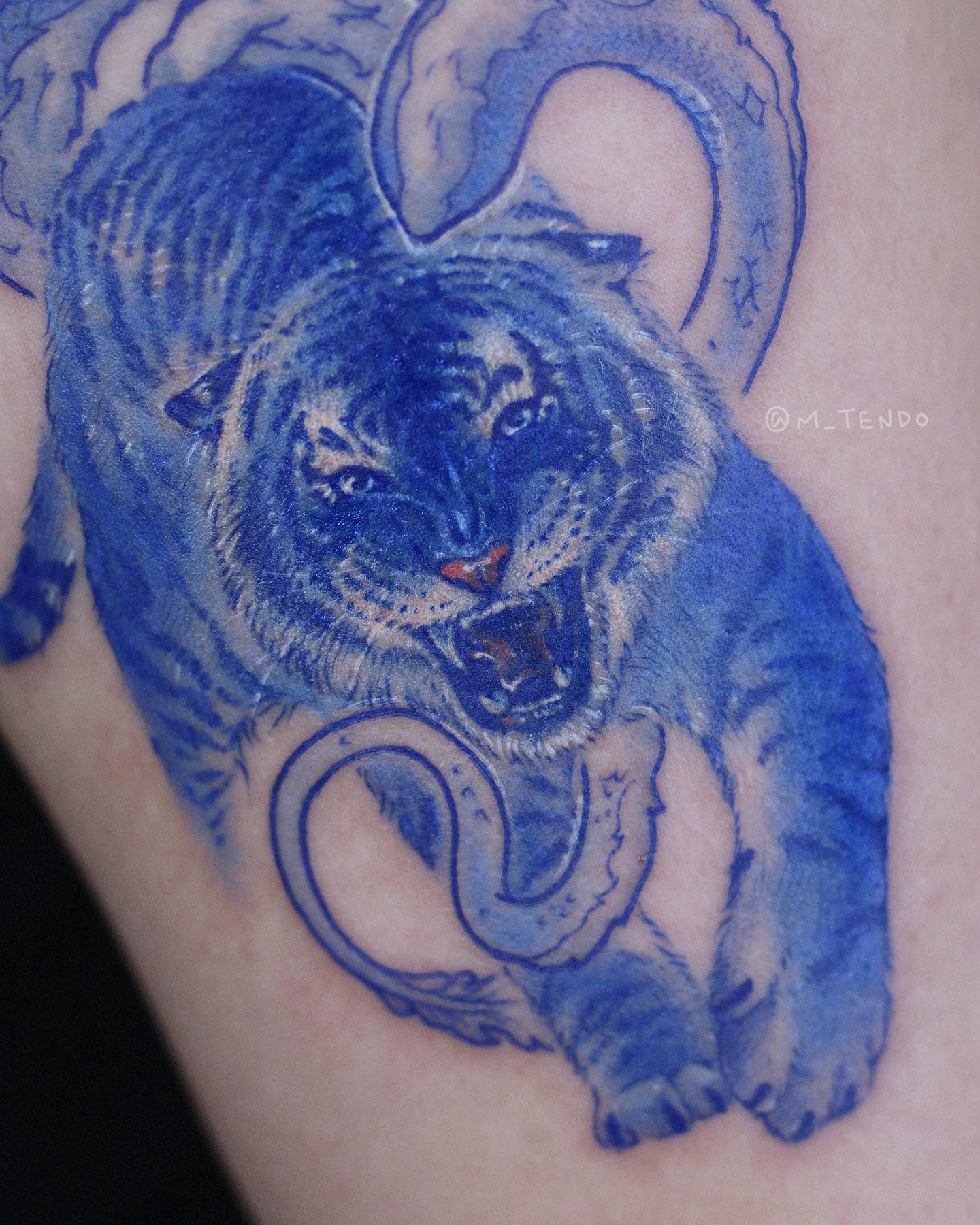 Tiger, Dragon