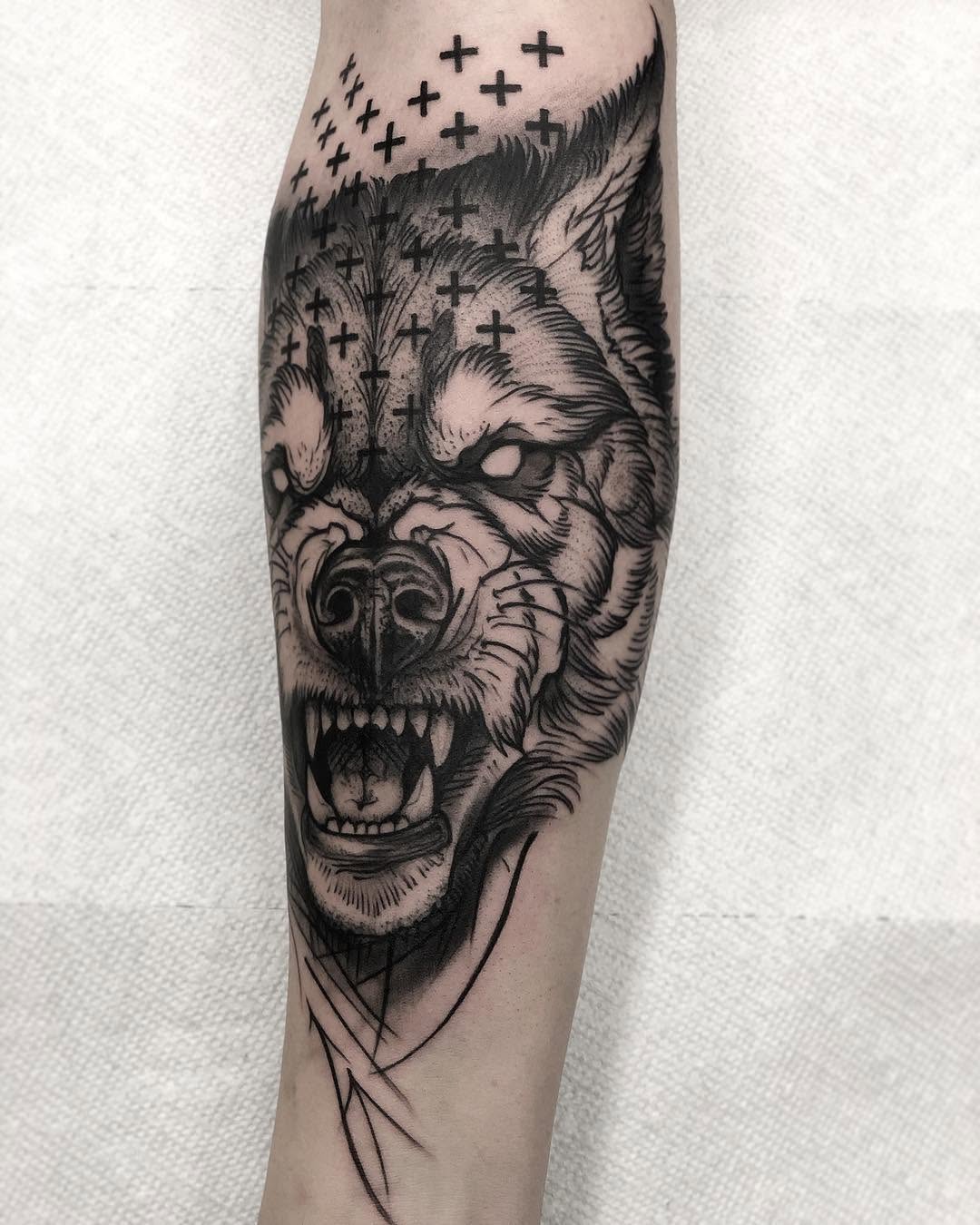 Tiger, Animal