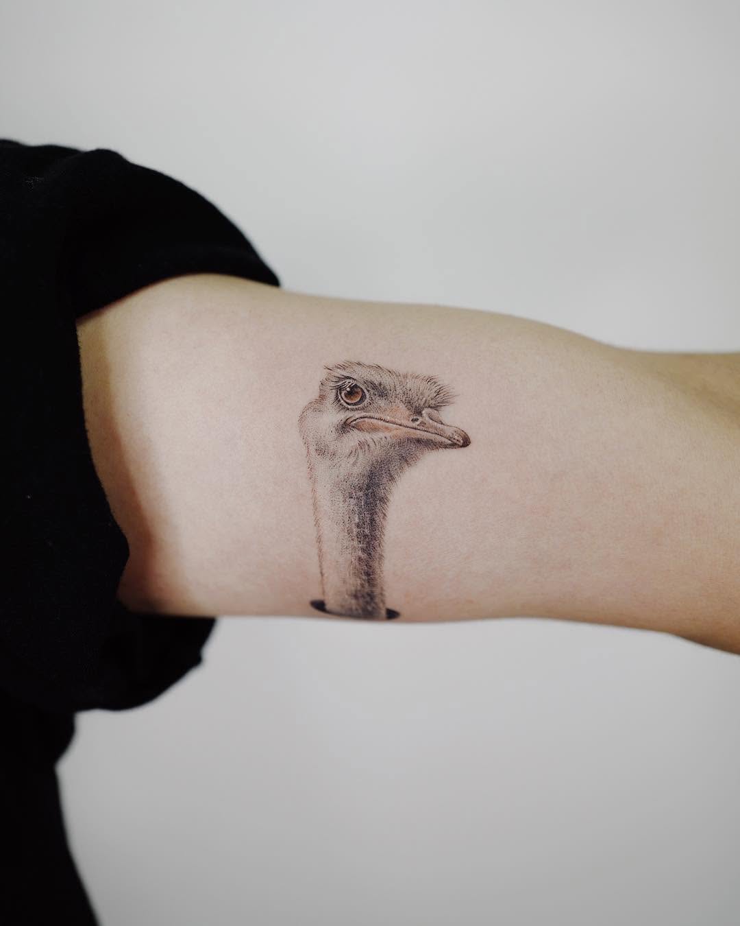 soltattoo
